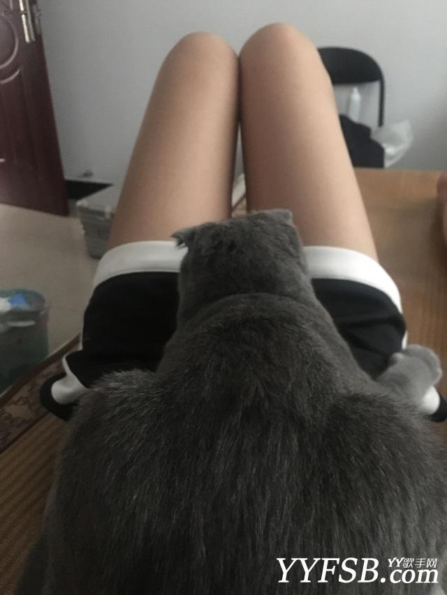 ȥֱ ӵ˽