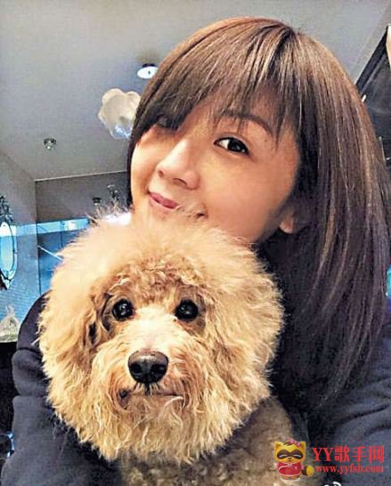 刚果黑人华仔上娱乐节目