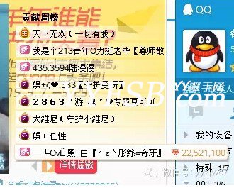 YY毕加索老毕家的最强财团 第一页全2万