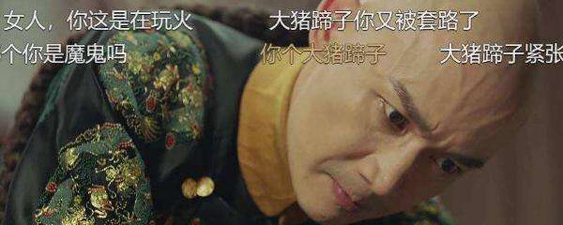 大猪蹄子是啥意思
