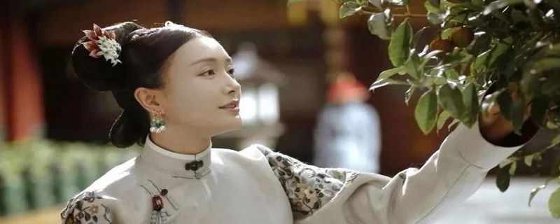 白月光是什么意思
