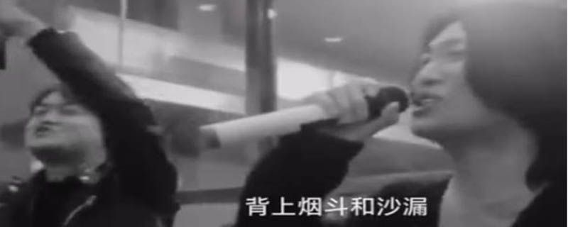 沙漠骆驼什么意思