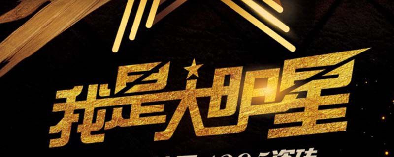 我是大明星哈哈哥刘磊哪一期