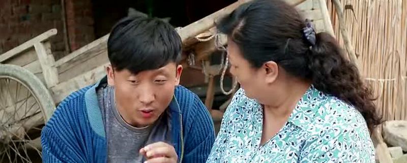 俺娘田小草大结局怎样