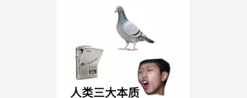 人类三大本质是什么意思