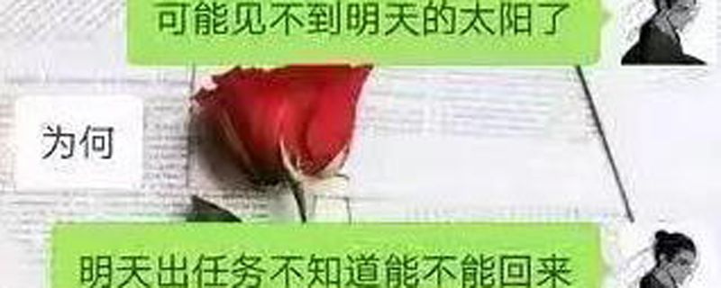 我是雇佣兵什么意思
