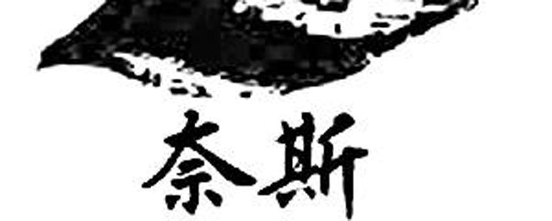 网上说奈斯是什么意思