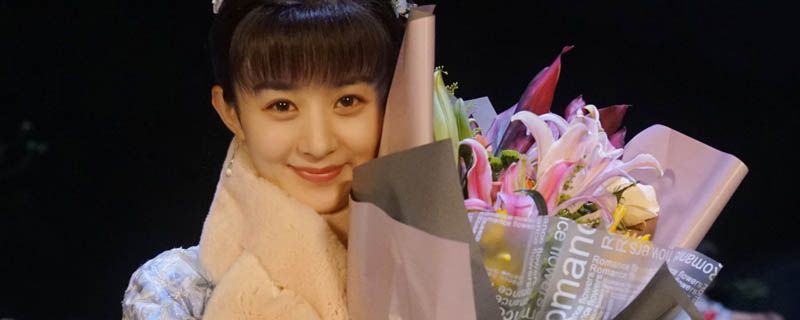 知否知否应是绿肥红瘦是什么意思
