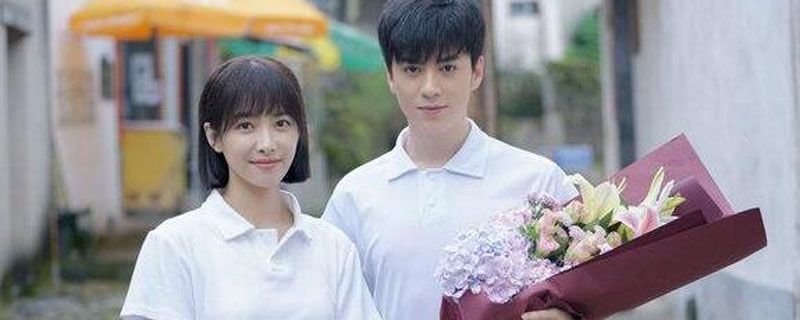 沈居安为什么恨向远