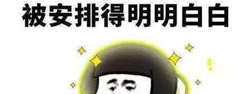 安排一下是什么梗