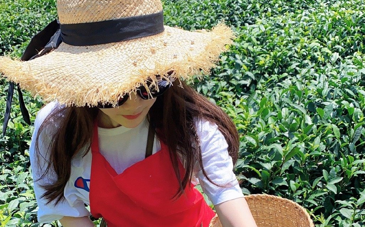 虎牙直播尤婉个人资料简介 尤婉直播间