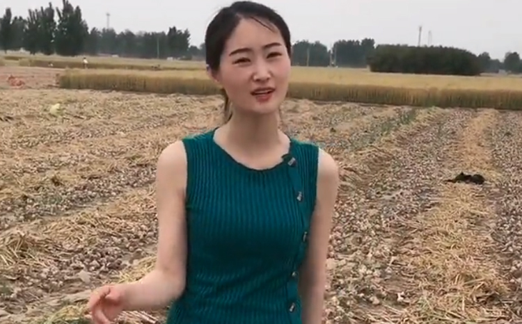 快手宝贝蛋个人资料简介 宝贝蛋直播间