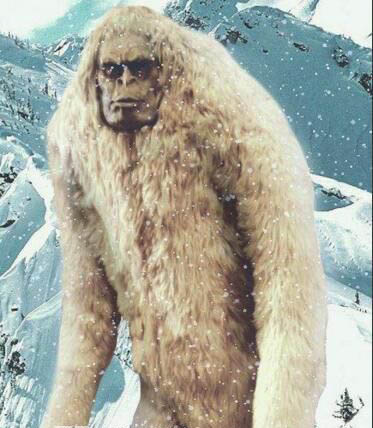 喜马拉雅山的神秘生物 喜马拉雅山雪人真的存在吗