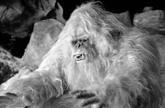 喜马拉雅山的神秘生物 喜马拉雅山雪人真的存在吗