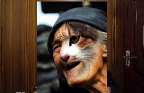 1995年哈尔滨猫脸老太太真的吗
