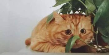 ʲô Ů˵ʲô˼