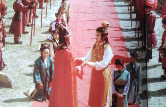 红楼梦南安太妃为什么选探春 南安太妃和林黛玉是什么关系