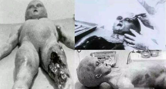震惊世界的不明生物 跟大家分享一些吧
