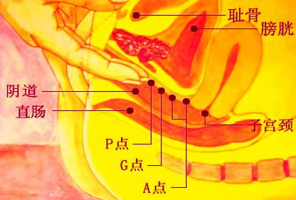 Ů˵AGUŮ˽ص˷ܵ