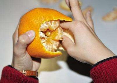 6ͯӪʳ ĺӳŶ