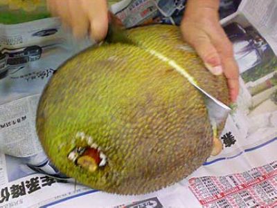 菠萝蜜怎么切开图解 菠萝蜜的胶粘在怎么洗掉