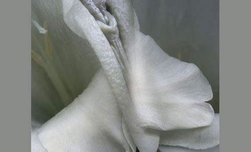 ŮԵزλͼƬ Ů˽ܵĲλʶ