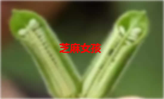 ֥Ůкԭͼ е