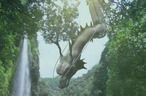 ʮФΪʲô