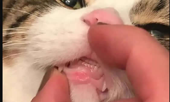 èץôжû ʱҪȮ