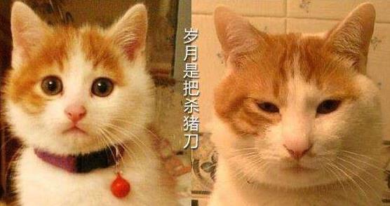 ʱǰɱʲô ǰɱȫ