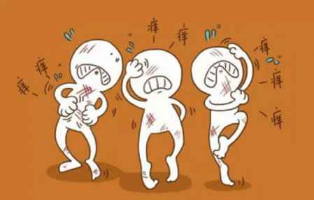 ʪô ʪʲô취