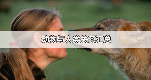 붯֮Ĺϵʲô