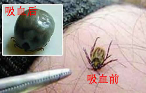 涣ҧ˿ͼƬ ҧİɶͼƬ