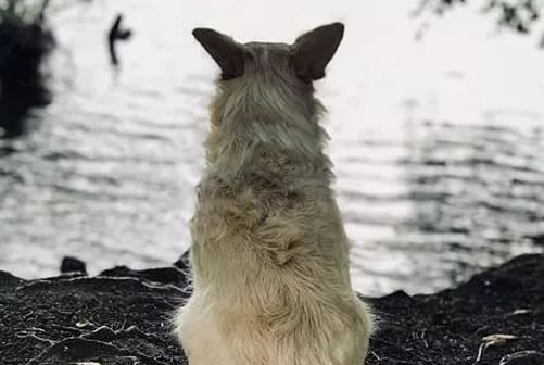 ʹǰ