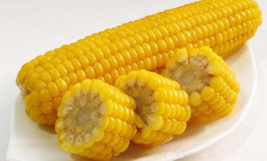 ʲôʳʺϼ Ҫ㰴ʳ