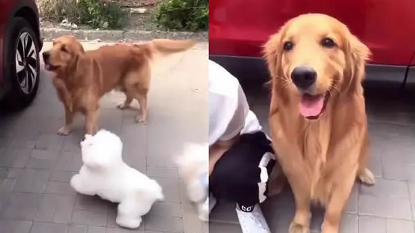 ڳŮȫ ë˷ܵٳ