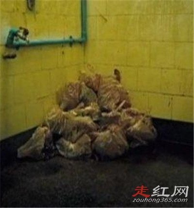 ̩Ӥʬ ΪӤ