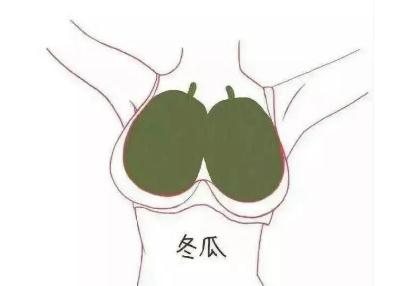 ABCDǸֱ abcdˮʾ