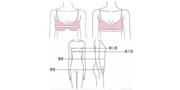 罩杯abcd怎么分大小示意图 女生abcd杯的差别