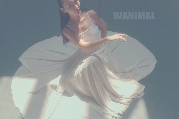 wanial王动坐马桶抽烟图片 wnalmal的作品