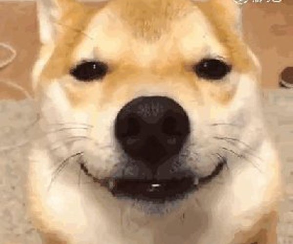΢Ц붯̬ԭͼֲ ΢Цֲԭͼ