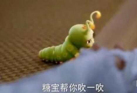 ǧǱʲôʱ