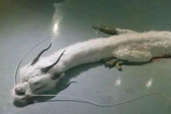 йҹ ʵ