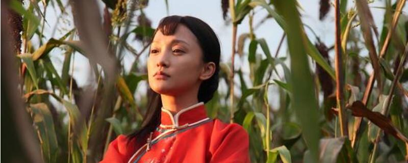 红高粱结局是什么样的