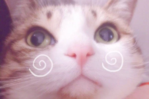 ܵм ʲô
