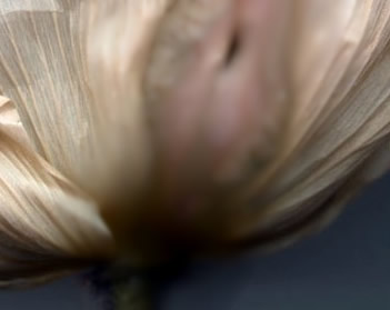 ŮʵͼͼƬ Ůʵy
