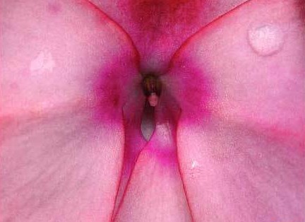 ŮʵͼͼƬ Ůʵy