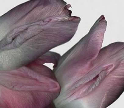 ŮʵƬ Ůʵy