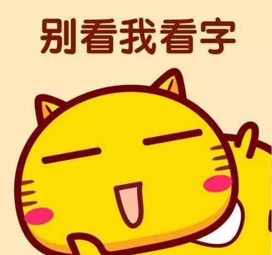 ˻ ˯˻и