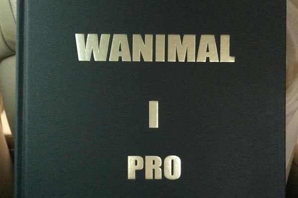 王动wnalmal模特故宫事件 王动wnalmal到底是什么人